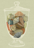 Collected by the Coast