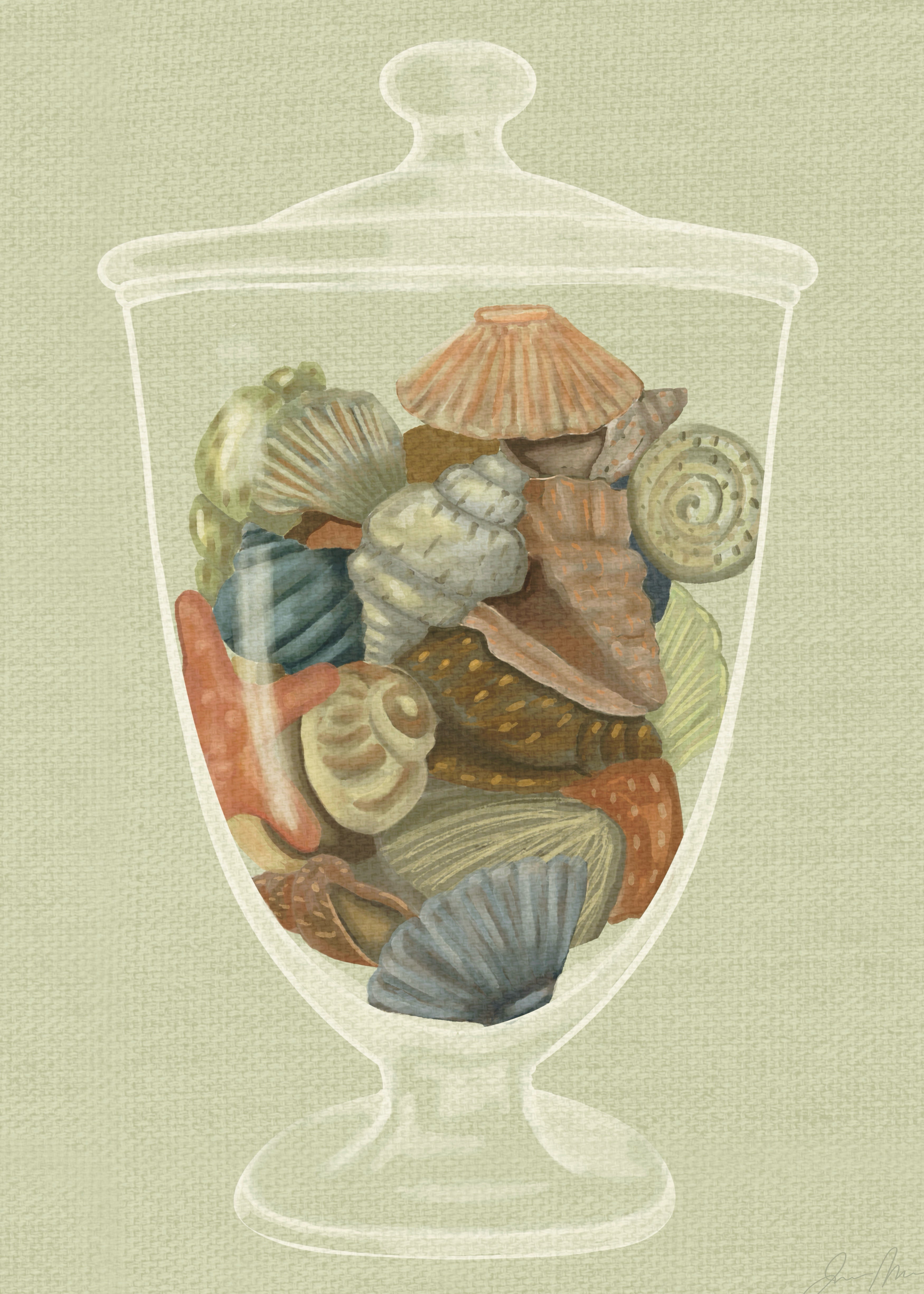 Collected by the Coast