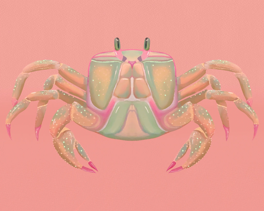 Pastel Crab