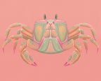 Pastel Crab