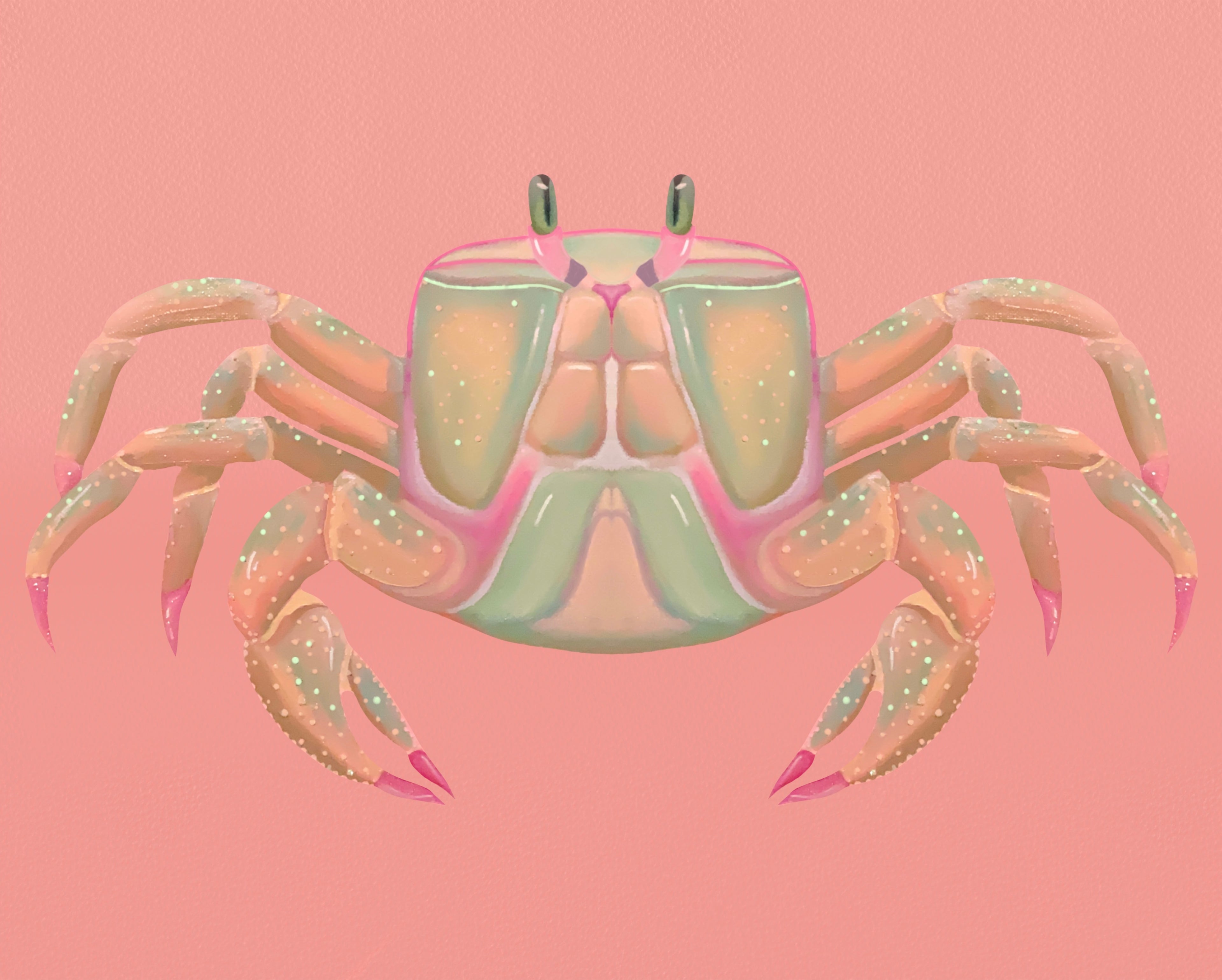 Pastel Crab